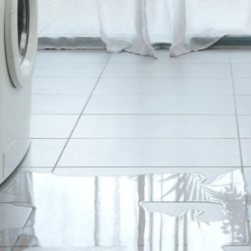 Appliance Leak Cleanup in Bloomingdale, FL