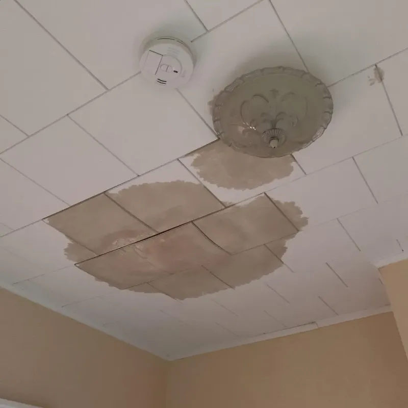 Ceiling Water Damage Repair in Bloomingdale, FL